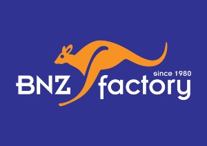 Logo Bnz Factory blue